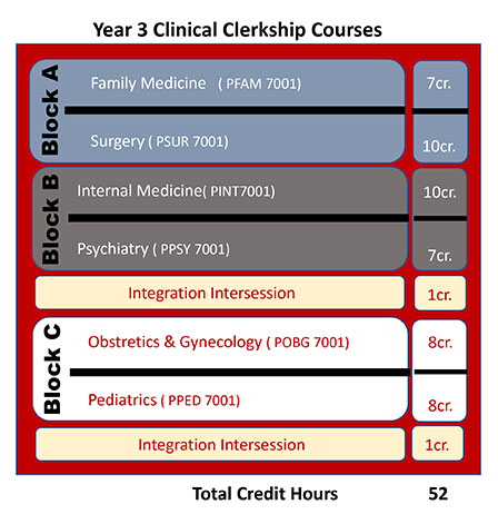 Year 3 Clinical Clerkship Courses