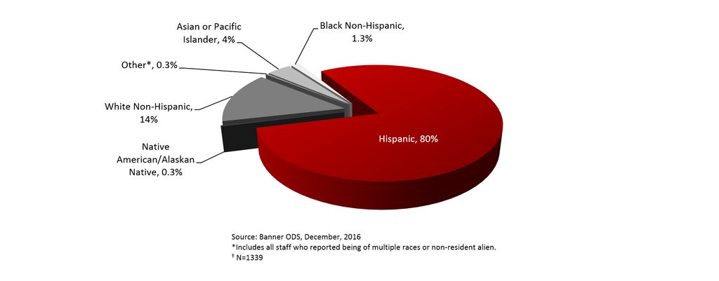 Total Staff by Race-Ethnicity, Fall 2016